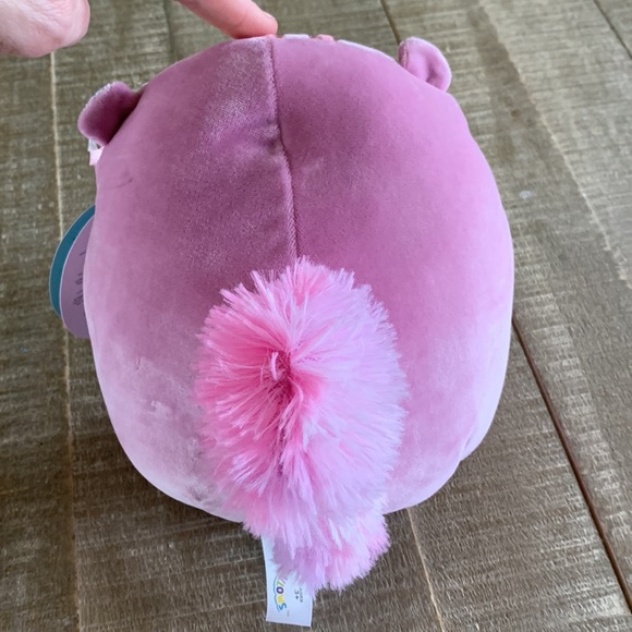 Squishmallows Chipmunk Allina - Picture 3 of 4